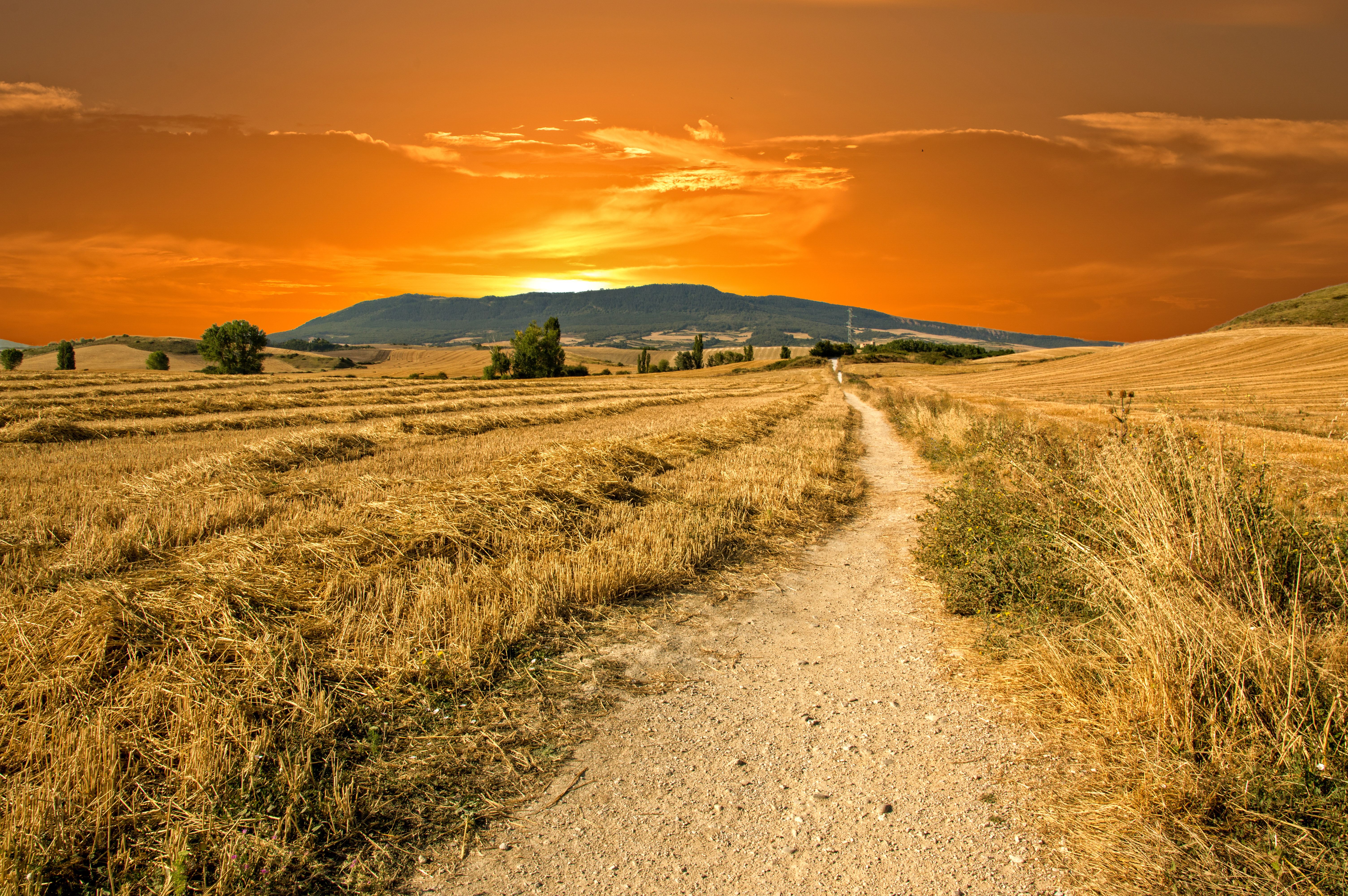 Trek the Camino de Santiago