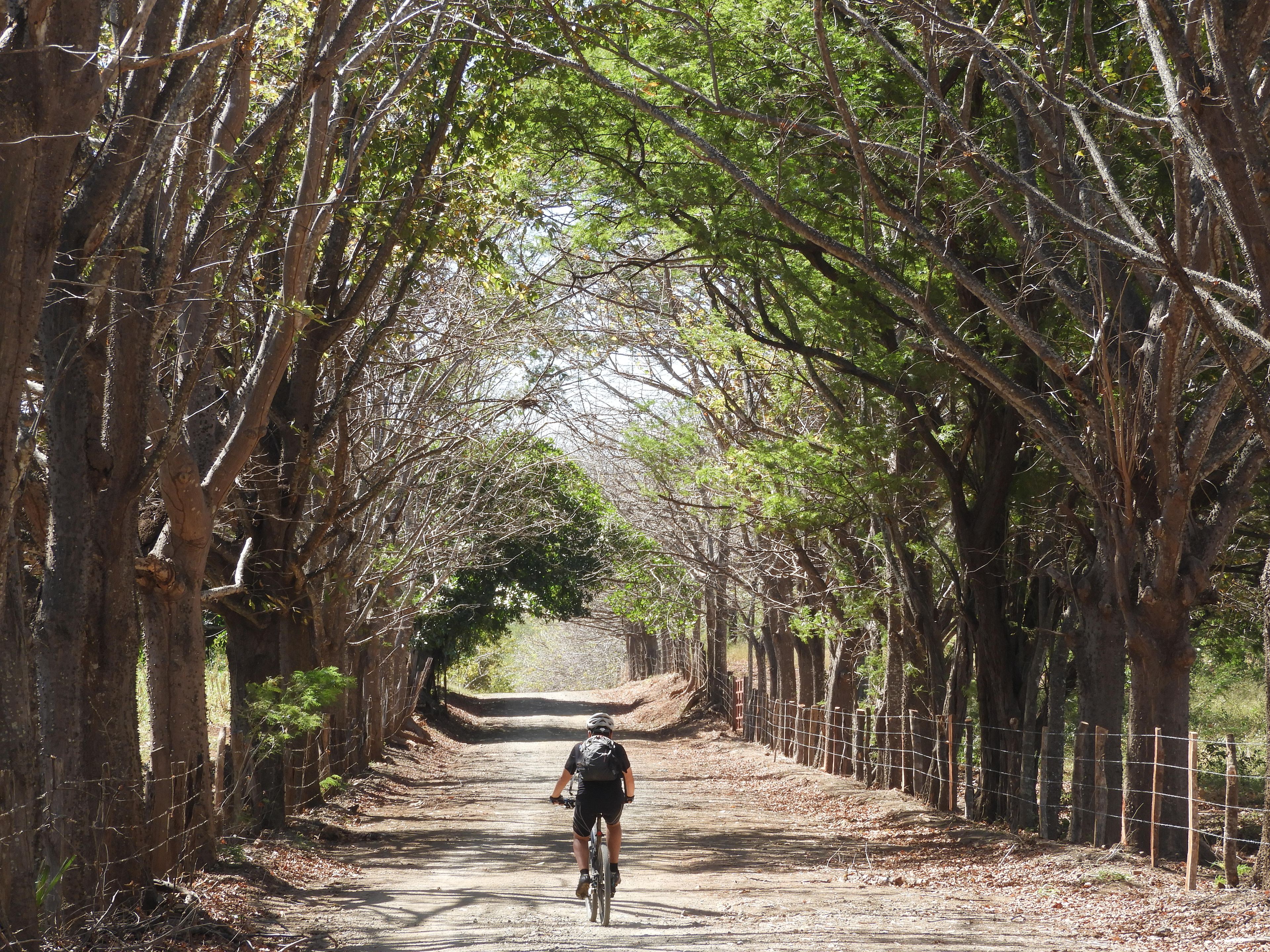 Photo of Take Costa Rica on together